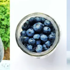 Nasiona chia na co? Słoik z puddingiem chia, bananem, borówkami i truskawkami. Zdrowy deser na każdy dzień.