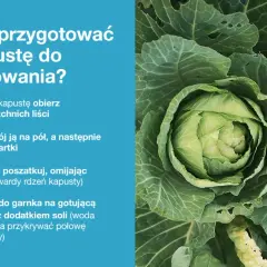 Młoda kapusta gotowa do gotowania. Dowiedz się, jakie przyprawy do młodej kapusty dodasz, by była pyszna.