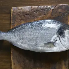 Świeży leszcz, srebrzysty i lśniący, leży na drewnianej desce.