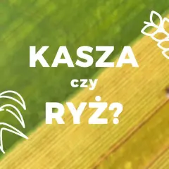 Co jest zdrowsze: kasza czy ryż? Porównanie wartości odżywczych