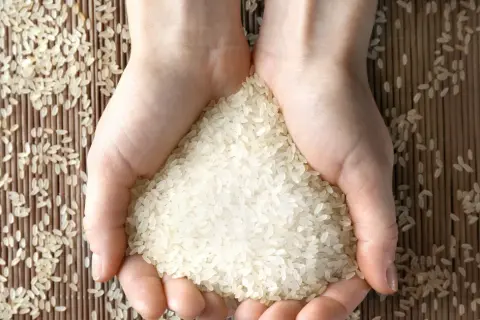 Ryż parboiled do czego? Odkryj pyszne przepisy i zastosowania