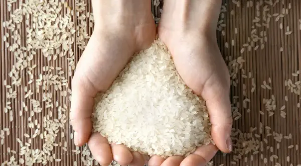 Ryż parboiled do czego? Odkryj pyszne przepisy i zastosowania
