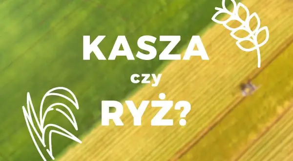 Co jest zdrowsze: kasza czy ryż? Porównanie wartości odżywczych