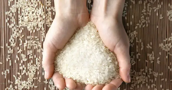 Ryż parboiled do czego? Odkryj pyszne przepisy i zastosowania